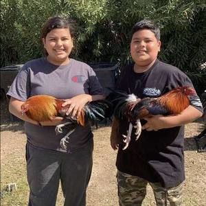 Meet your Posher, Pedro